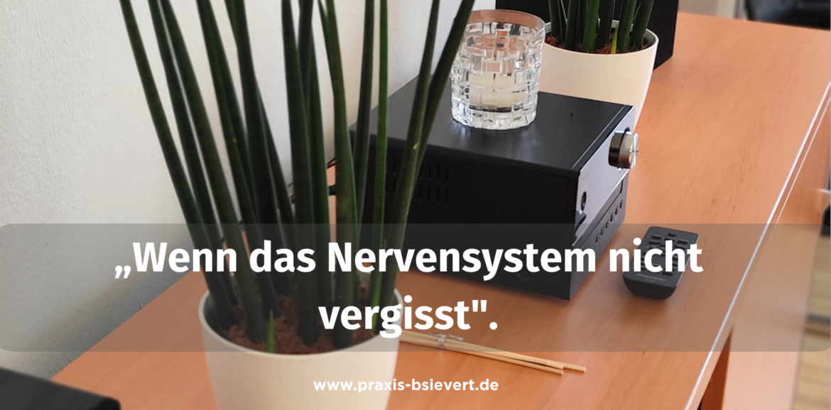 Schreibtisch in der Praxis Birgit Sievert Werl mit Sansevieria-Pflanzen und Kristallglas — Blogbeitrag Angst nach Unfall oder Erkrankung