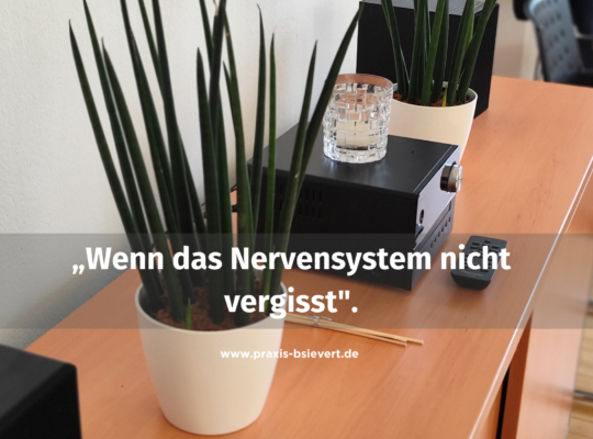 Schreibtisch in der Praxis Birgit Sievert Werl mit Sansevieria-Pflanzen und Kristallglas — Blogbeitrag Angst nach Unfall oder Erkrankung
